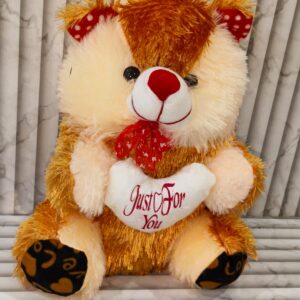 Love Soft Teddy